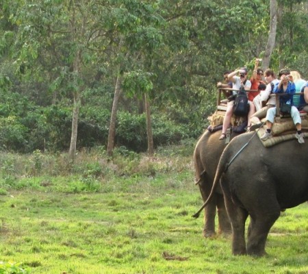 Chitwan Jungle Safari